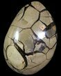 Polished Septarian Dragon Egg Geode #87102-4